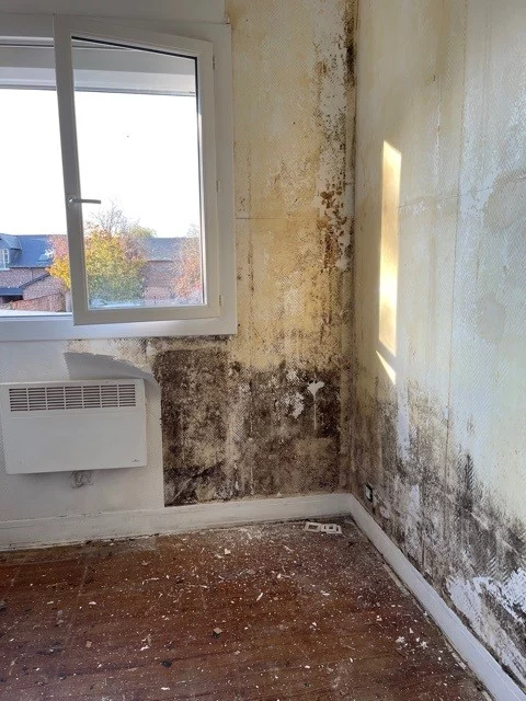 Chantier de Appartement de 43 m² à Pont-l’Évêque