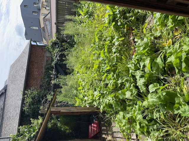 Chantier de Maison de 150 m² à Pont-l’Évêque